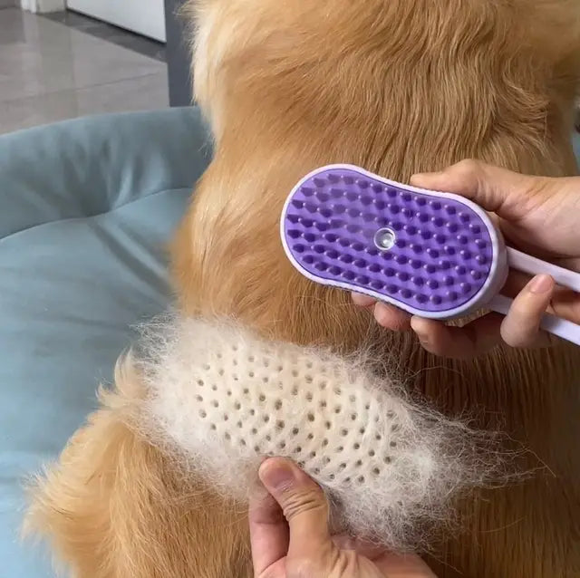 Peigne de pulvérisation électrique pour animaux de compagnie, pour chats et chiens, peigne d'épilation à une touche, brosse de Massage Anti-vol, Massage propre, nouveau