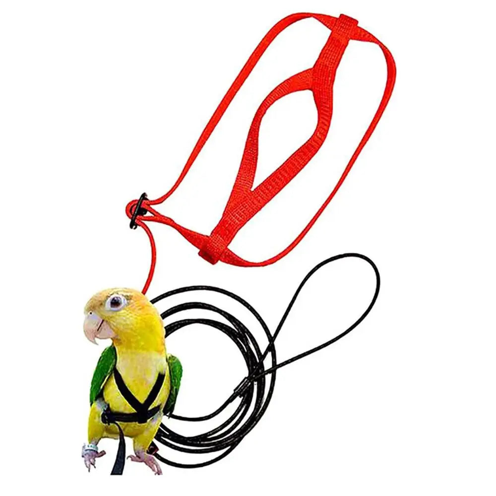 Parrot Bird Harness Leash Outdoor Flying Traction Straps Band Adjustable Anti-Bite Training Rope