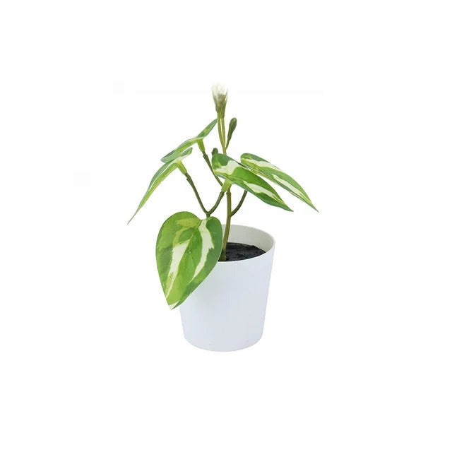 Plantes artificielles en plastique bonsaï petit arbre Simulation Pot ornements de Table en Pot Arrangement de jardin de fleurs décor de Table à la maison 