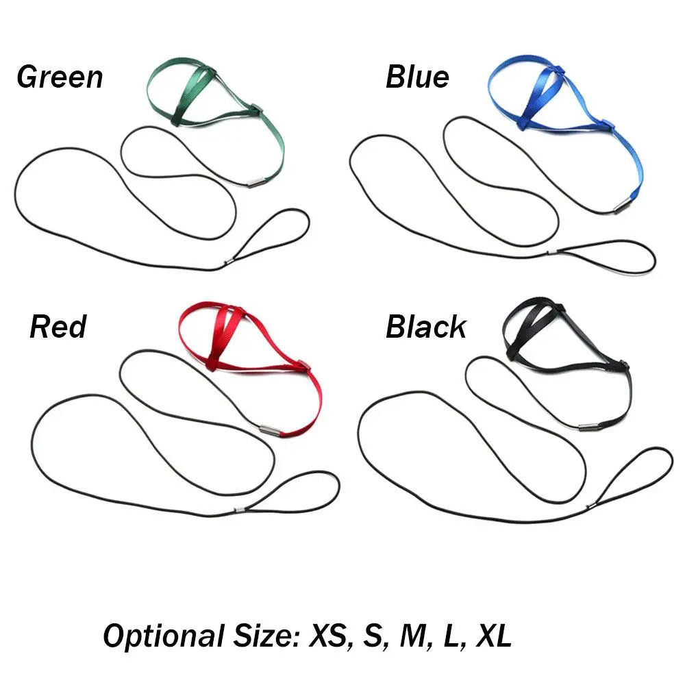 Harnais pour oiseaux perroquets, laisse, sangles de Traction volantes en plein air, bande réglable, corde d'entraînement Anti-morsure