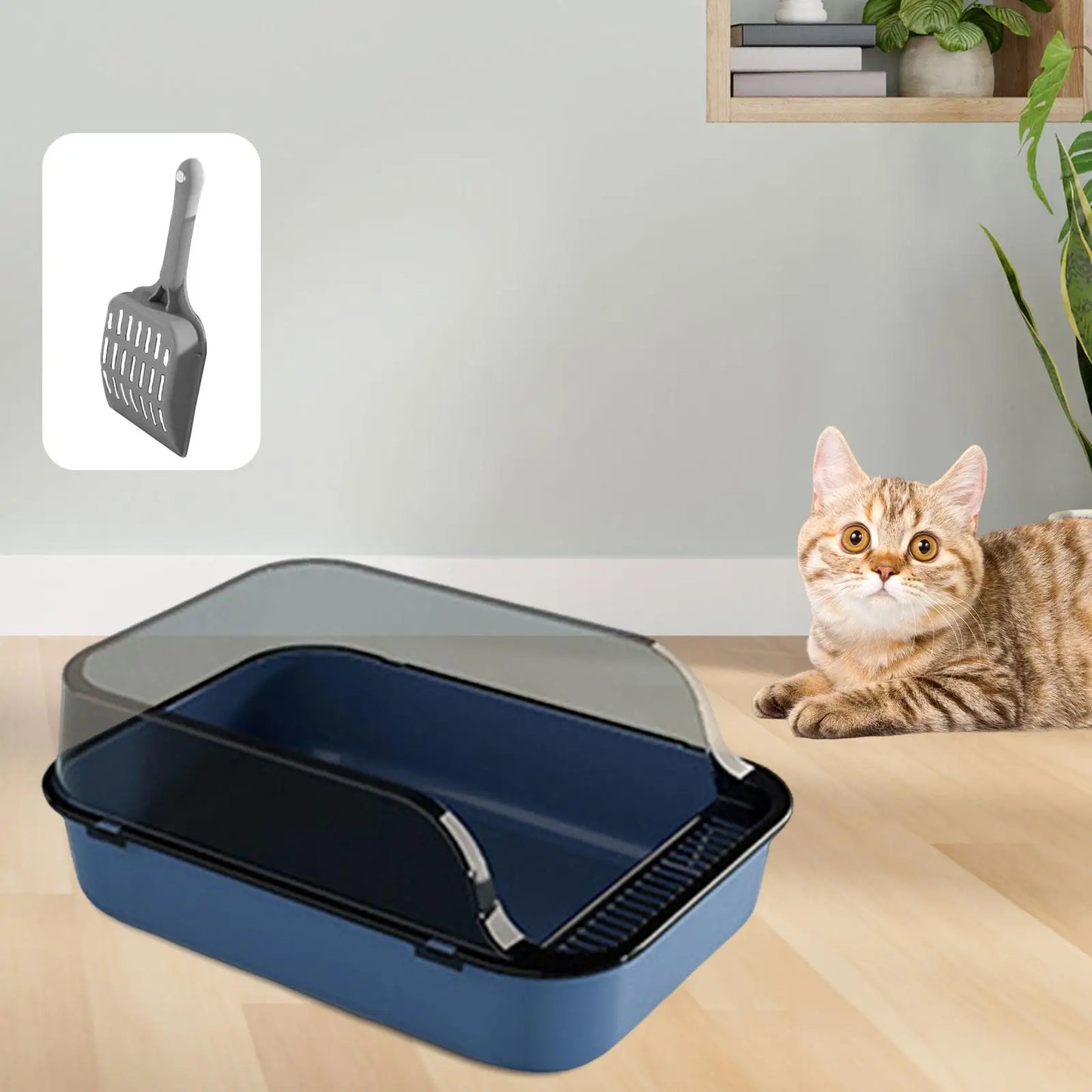 Open Top Cat Litter Box Removable with Cat Litter Shovel with High Side Cat Toilet for Small Medium Large Cats Small Pets