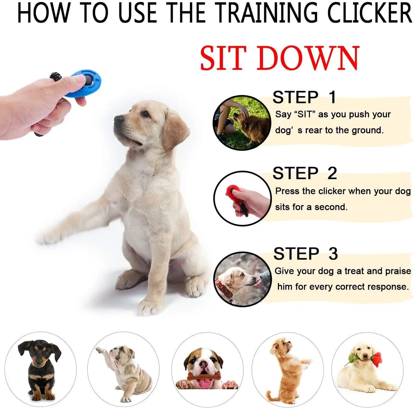 Clicker d'entraînement Portable avec dragonne, clé sonore pour animal de compagnie, chat, chien, chiot