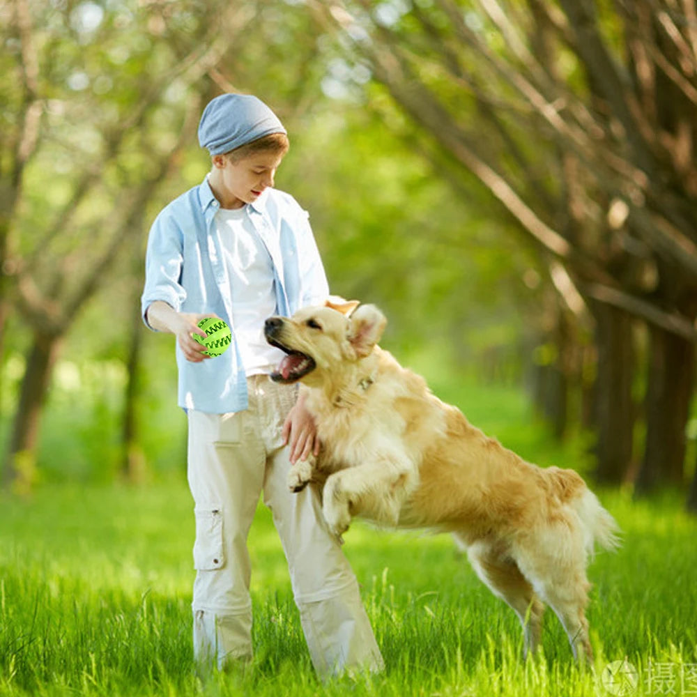 Balle en caoutchouc interactive, jouet de nettoyage des dents pour petits et grands chiens, chiot, chat