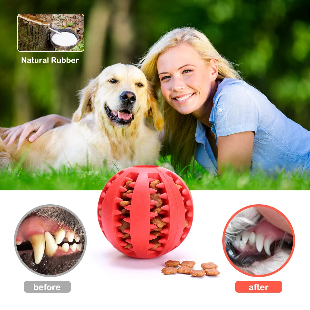 Pelota de goma interactiva, premio de juguete, limpieza de dientes para perros pequeños y grandes, cachorros y gatos 