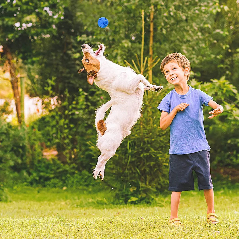 Jouet de balle gonflable en caoutchouc solide résistant à la mastication pour animaux de compagnie pour l'entraînement de récupération de lancer de chien