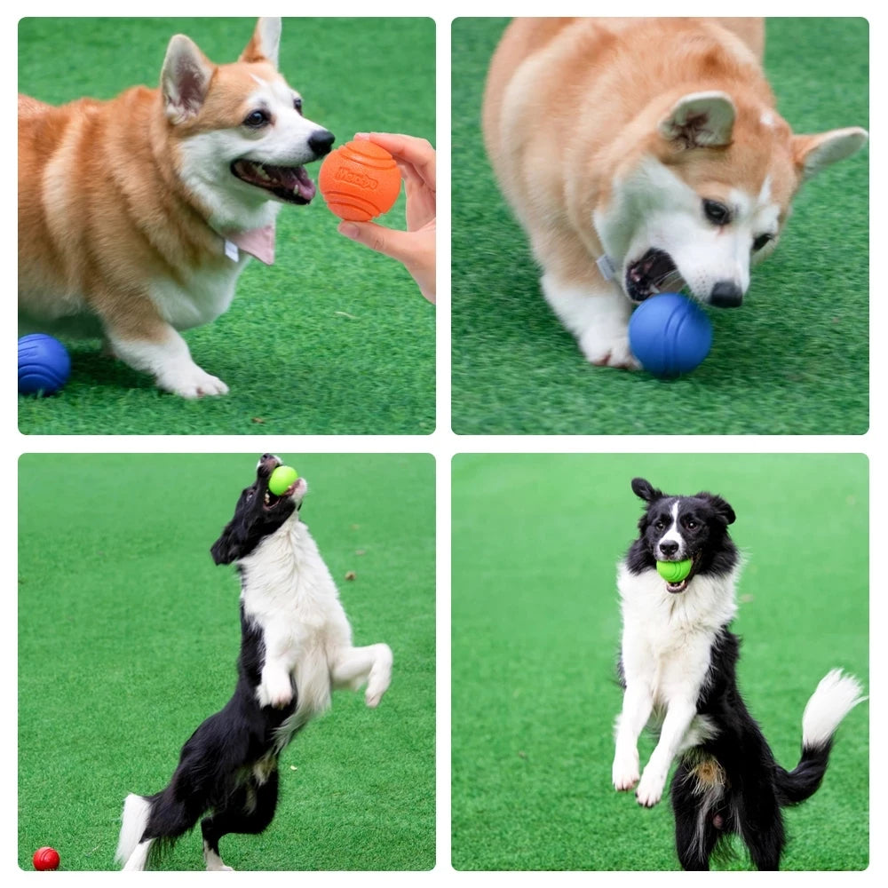 Jouet de balle gonflable en caoutchouc solide résistant à la mastication pour animaux de compagnie pour l'entraînement de récupération de lancer de chien