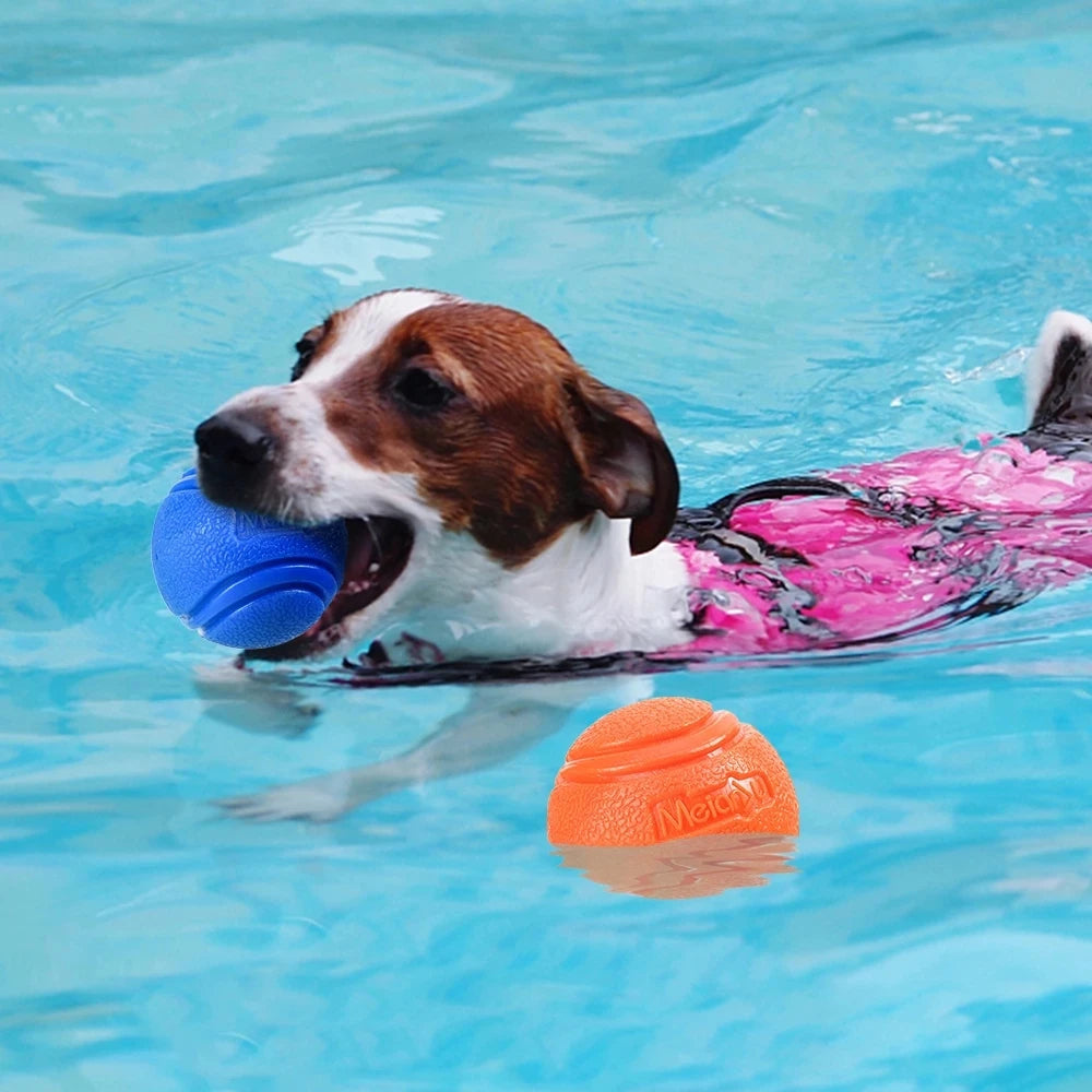 Jouet de balle gonflable en caoutchouc solide résistant à la mastication pour animaux de compagnie pour l'entraînement de récupération de lancer de chien