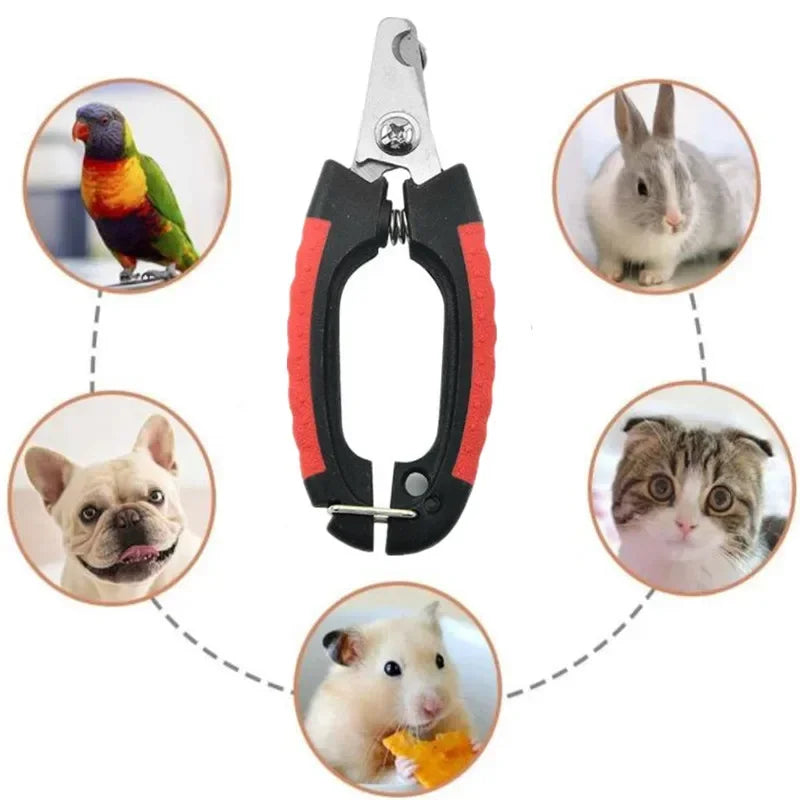 Coupe-ongles professionnel pour chien, ciseaux de toilettage en acier inoxydable, tondeuse pour animaux et chats