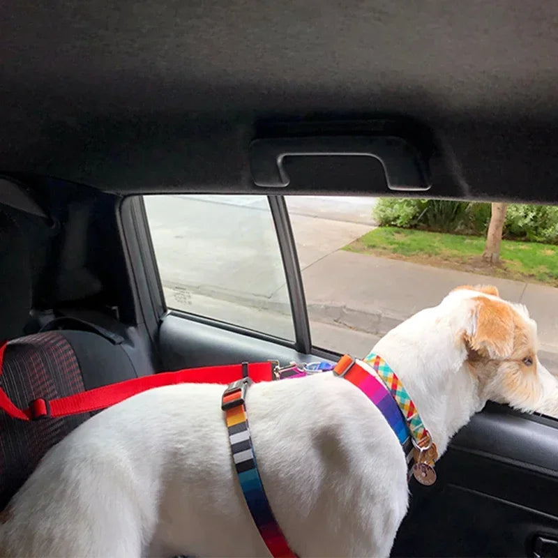 Cinturón de seguridad para asiento trasero de coche 2 en 1, correa ajustable para mascotas y perros 