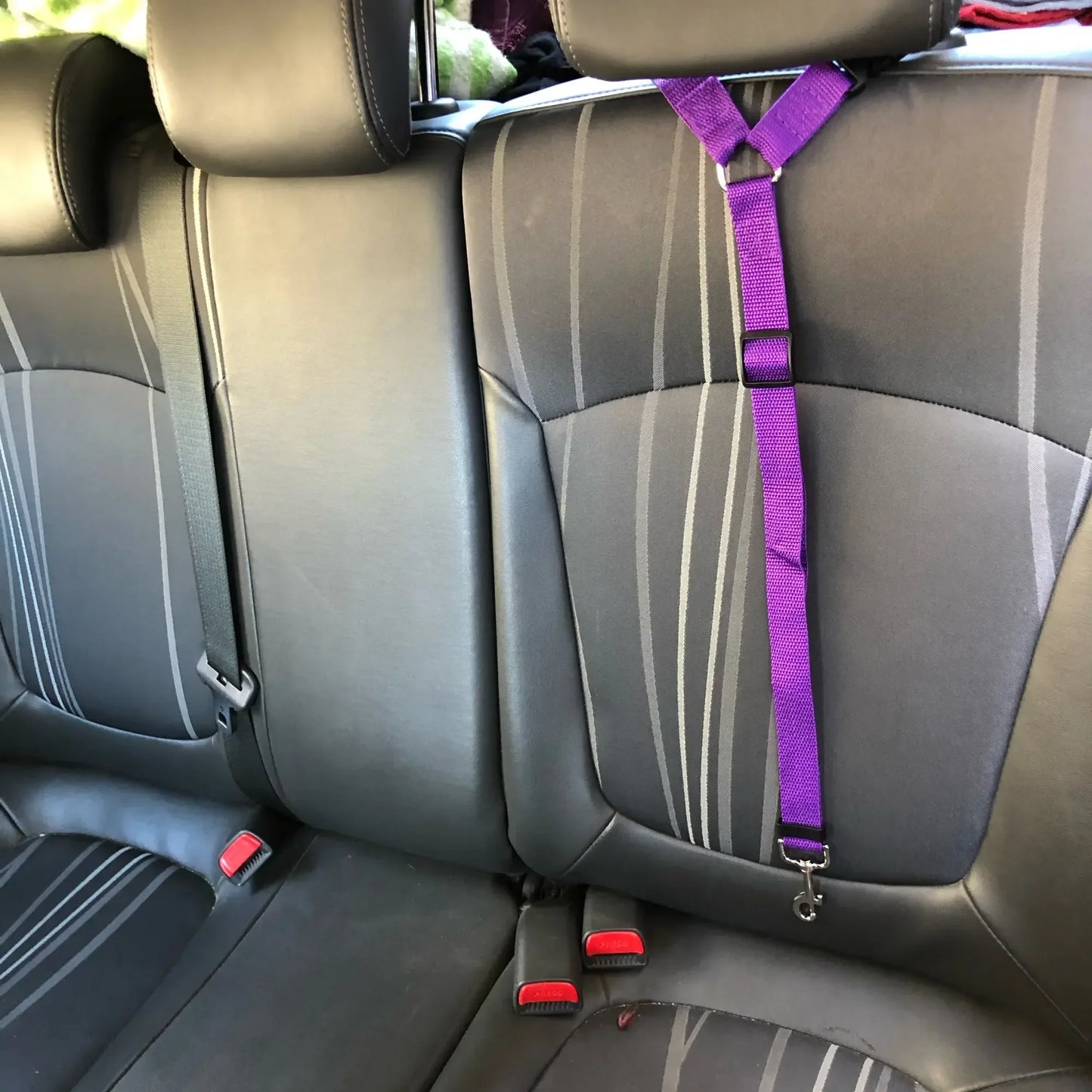 2 in 1 Car Backseat Safety Seatbelt-Lead Leash Adjustable Belt for Pets Dogs