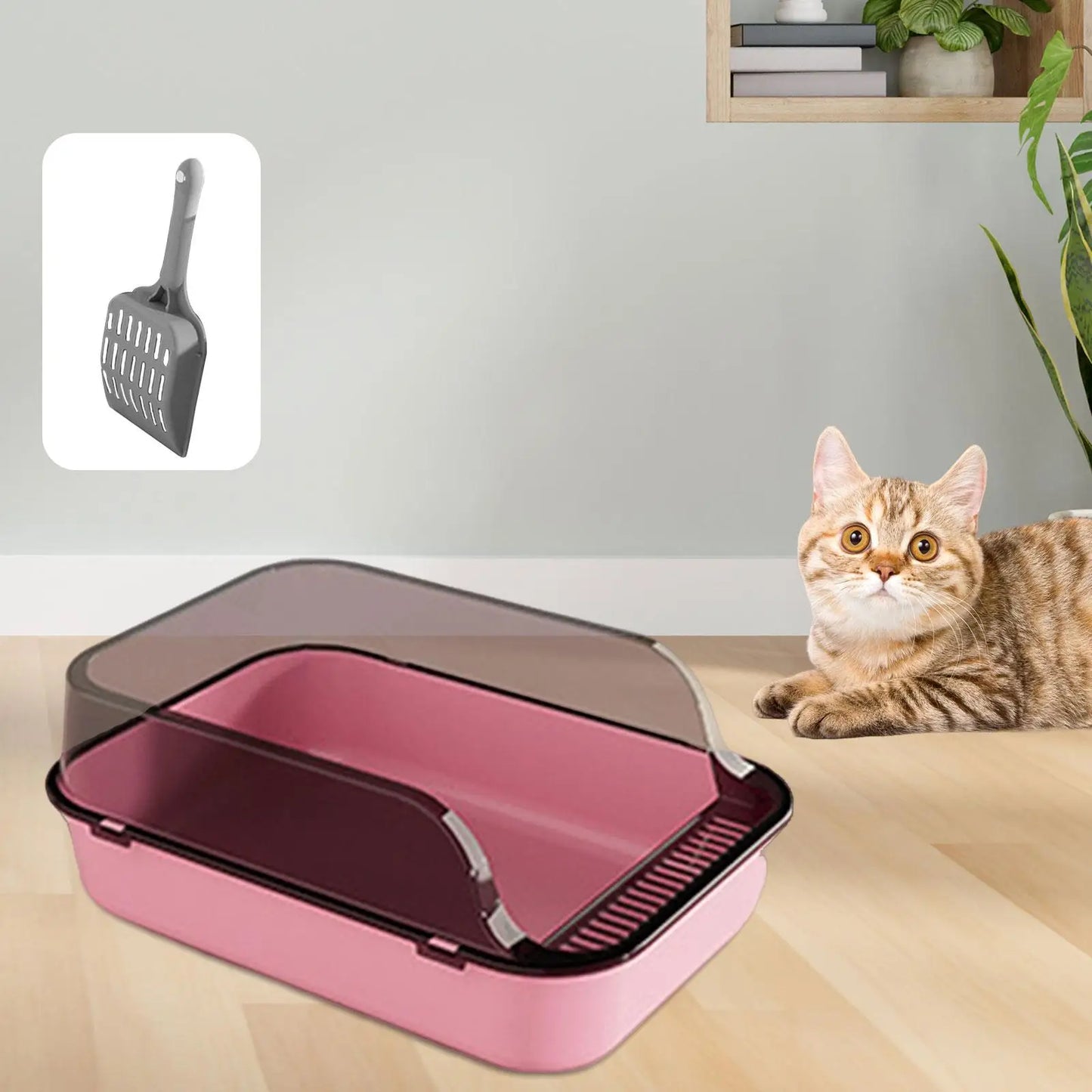 Open Top Cat Litter Box Removable with Cat Litter Shovel with High Side Cat Toilet for Small Medium Large Cats Small Pets