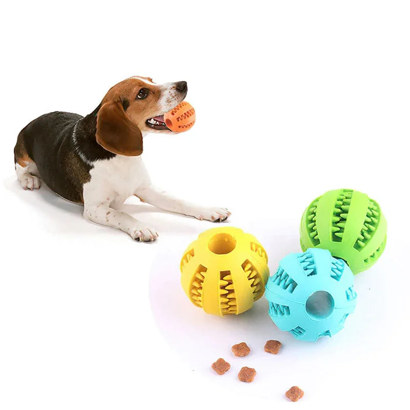 Jouets de balle pour petits chiens, élasticité Interactive, jouet à mâcher pour chiot, nettoyage des dents, boule de nourriture en caoutchouc, accessoires pour animaux de compagnie